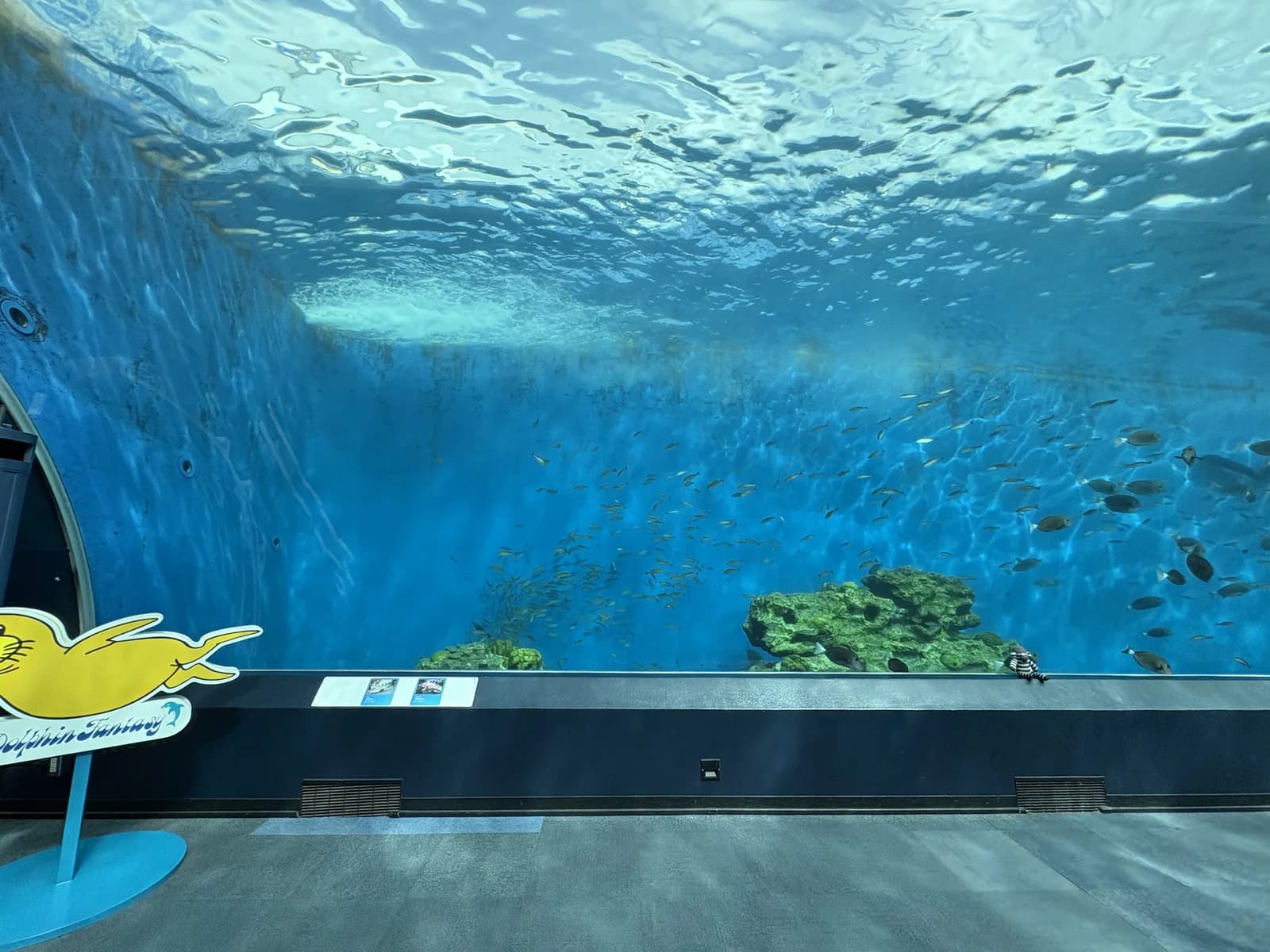 横浜・八景島シーパラダイスの水族館展示と大きな水槽